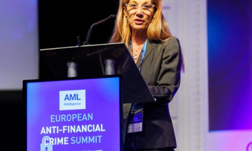 Bruna Szego addresses the public for AMLA in Dublin