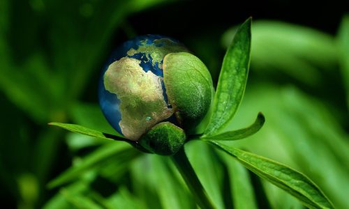 ecology, globe, concept, earth, environment, climate change, natural reserve, growth, renewable energy, protection, nature, sustainability, resources, climate change, climate change, sustainability, sustainability, sustainability, sustainability, sustainability